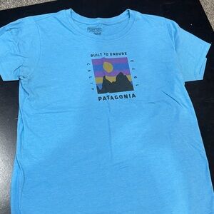 Patagonia Sky Blue women’s Graphic Tee xl